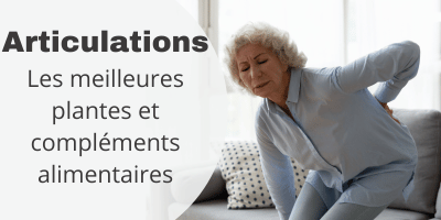 Articulations: les plantes efficaces sur les rhumatismes, goutte mais  entorses, coups, bosses